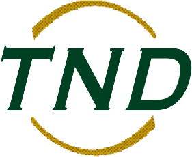 Teeth Next Day